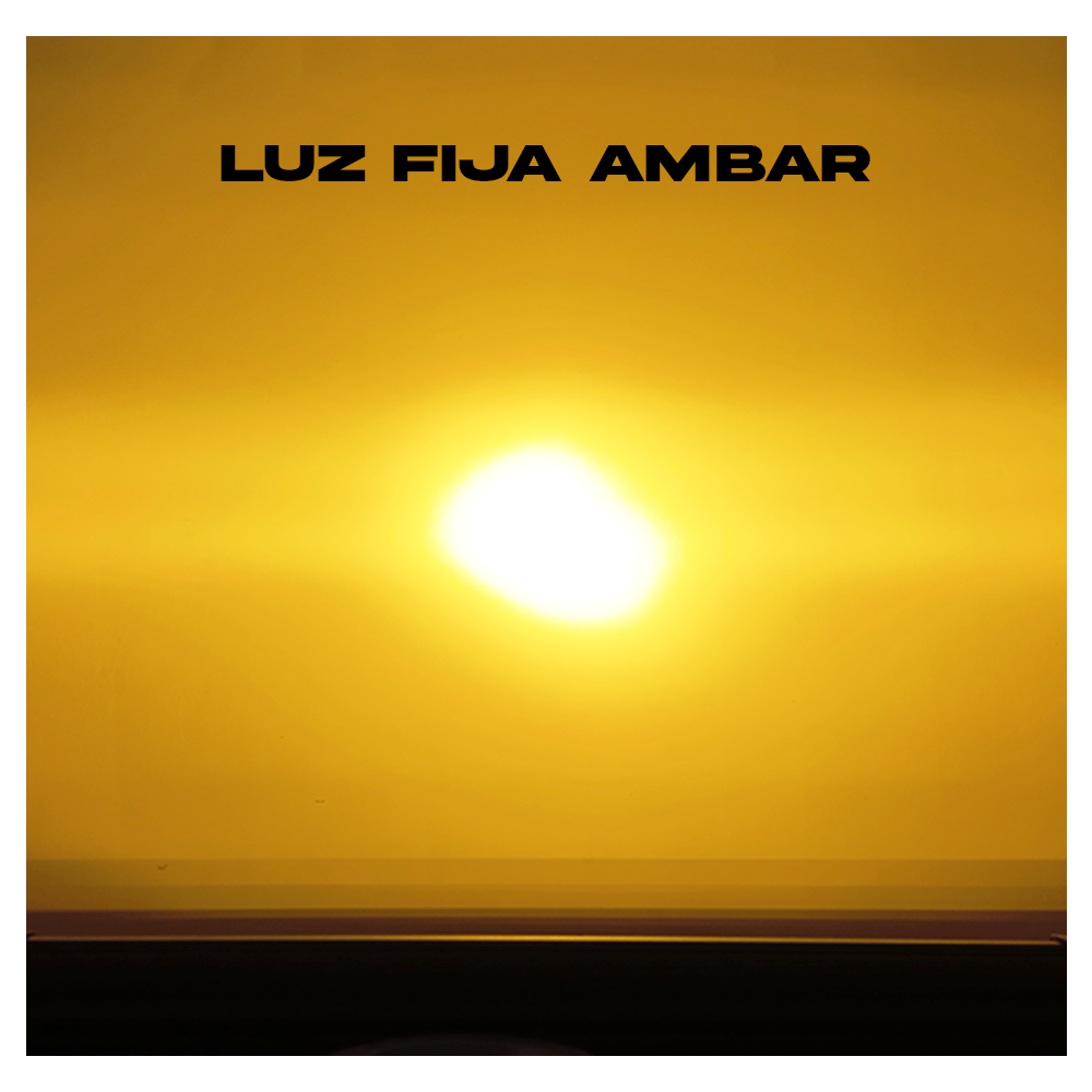 IMG_20240125_175226 IMG_20240125_175226